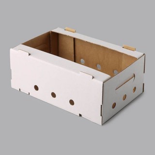 Corrugated cardboard berry box white 290x180x110 (2kg), 16b