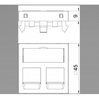 Katteplaat 2xRJ45 pistikupesade paigaldamiseks | Kinnitusava suurus 19,30 x 14,80mm | OBO BETTERMANN