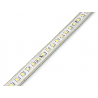 LED lint 2835/120 12W 3000K IP65 220V 100m rull, hind 1 meeter