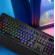 VERTUX Toucan Mechanical Gaming RGB Keyboard paveikslėlis 6