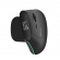 Delux MV6 DB Ergonomic Wireless Mouse paveikslėlis 2