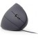 Gembird MUS-ERGO-01 Ergonomic Mouse paveikslėlis 2