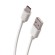 Forever Universal Type-C data and charging cable 1m paveikslėlis 1