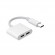 RoGer JH-032 USB-C to 2x USB-C Audio adapter + Charging image 1