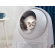 Catlink Scooper Young Version Самоочищающийся кошачий туалет фото 3