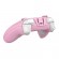 Wireless controler GameSir T4 Cyclone Pro (pink) image 2