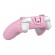 Wireless controler GameSir T4 Cyclone Pro (pink) paveikslėlis 2