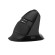 Wireless Vertical Mouse Delux M618Mini BT+2.4G RGB 4000DPI (Iron Gray) фото 1