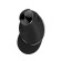 Wireless Vertical Mouse Delux M618PD BT+2.4G 4200DPI paveikslėlis 2