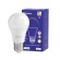 Smart LED Wifi bulb Sonoff B02-BL-A60 paveikslėlis 2