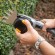 Home and Garden Products // Garden // Nożyce akumulatorowe do krzewów i żywopłotu 4V image 5