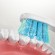 Tooth care // Brushes // Zestaw zapasowych szczoteczek do SG-2303 SEAGO, 4 szt., kolor biały, SG-2303 Refill Wh image 2