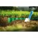 Home and Garden Products // Garden // Obrzeże ogrodowe faliste 15cm x 9m Cellfast zielone image 3