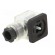 Accessories: plug for coil | IP65 | natural (transparent) | 230V фото 2