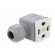Accessories: plug for coil | IP67 | cool white,grey | 250V paveikslėlis 2