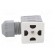 Accessories: plug for coil | IP67 | cool white,grey | 250V paveikslėlis 3