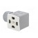 Accessories: plug for coil | IP67 | cool white,grey | 250V paveikslėlis 4
