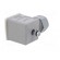 Accessories: plug for coil | IP67 | cool white,grey | 250V paveikslėlis 6