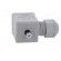 Accessories: plug for coil | IP67 | cool white,grey | 250V paveikslėlis 7