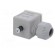 Accessories: plug for coil | IP67 | cool white,grey | 250V image 8