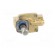 Electromagnetic valve | G 1/2" | brass | NBR | EV224B | Valve: 2/2 NC image 9