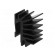 Heatsink: extruded | grilled | TO220 | black | L: 15mm | W: 19.4mm | H: 28mm image 8