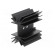 Heatsink: extruded | TO218,TO220,TO247 | black | L: 25mm | W: 41.6mm image 4