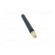 Antenna | GSM | 2dBi | linear | Mounting: twist-on,vertical | 50Ω image 9