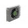 Cooling module | PICO APL | PICO-APL4-A10-F003 | heatsink image 2