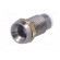 LED holder | 3mm | chromium | metal | concave | with plastic plug | IP66 image 2
