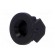 LED holder | 3mm | one-piece | black | UL94V-2 | L: 6.5mm | Mat: polyamide image 2