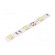 LED tape | white warm | 5050 | 12V | LED/m: 30 | W: 14.36mm | 120° | IP20 image 1