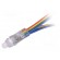 Module: LED | Colour: RGB | No.of diodes: 50 | Ø12mm | 5V | Mounting: THT фото 2