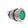Indicator: LED | flat | 12VDC | 12VAC | Cutout: Ø19mm | screw | brass image 8