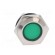 Indicator: LED | flat | green | 24VDC | 24VAC | Ø16mm | brass | Body: silver фото 9