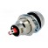 Indicator: LED | recessed | 24VDC | Cutout: Ø12.7mm | IP67 | brass image 6