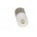 LED lamp | white | BA9S | 130VAC | No.of diodes: 1 image 9