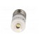 LED lamp | white | E10 | 230VAC | No.of diodes: 1 фото 9