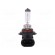 Filament lamp: automotive | HB4 | 12V | 51W | LLB paveikslėlis 2