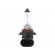 Filament lamp: automotive | P22d | 12V | 51W | VISIONPRO | HB4 image 2