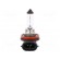 Filament lamp: automotive | PGJ19-2 | 12V | 55W | VISIONPRO | H11 image 2