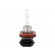 Filament lamp: automotive | PGJ19-5 | 12V | 65W | VISIONPRO | H9 paveikslėlis 2