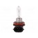 Filament lamp: automotive | H9 | 12V | 65W | LLB image 2