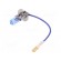 Filament lamp: automotive | PK22s | white-blue | 24V | 70W | BLUE | H3 image 2