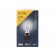 Filament lamp: automotive | PX22d | blue,transparent | 12V | 55W image 2