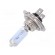 Filament lamp: automotive | PX26d | white-blue | 12V | 55W | H7 | 3600K фото 1