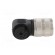Connector: M16 | plug | female | soldering | for cable | PIN: 12 | 3A | 32V фото 3