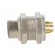 Connector: M9 | socket | male | Plating: gold-plated | 125V | IP40 | PIN: 7 paveikslėlis 3
