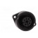 Socket | Connector: circular | 693,RD24 | female | PIN: 4 | 16A | IP67 paveikslėlis 9