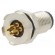 Connector: M5 | socket | 707 | male | PIN: 4 | unshielded | gold-plated | 1A paveikslėlis 2